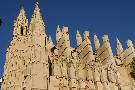 Palma Cathedral (The Seo)