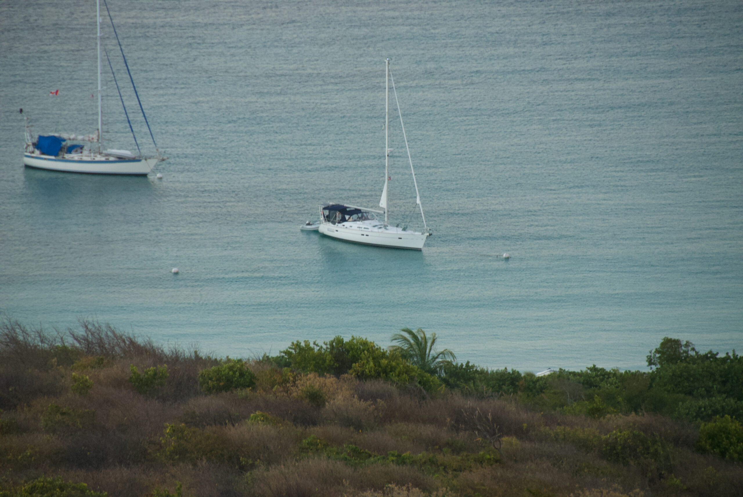 Culebrita