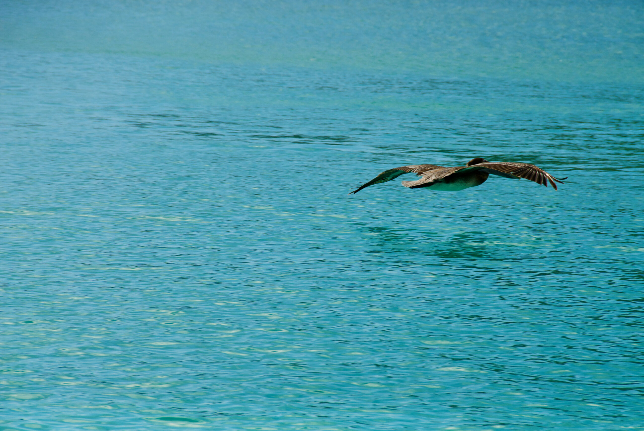 Sunday morning in Cane Garden Bay